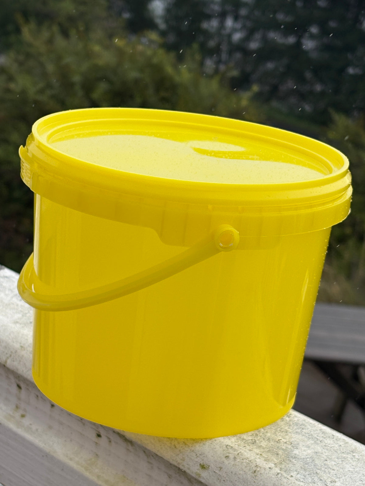 Plastboks med hank 2,5 kg